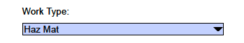 Work Type input form